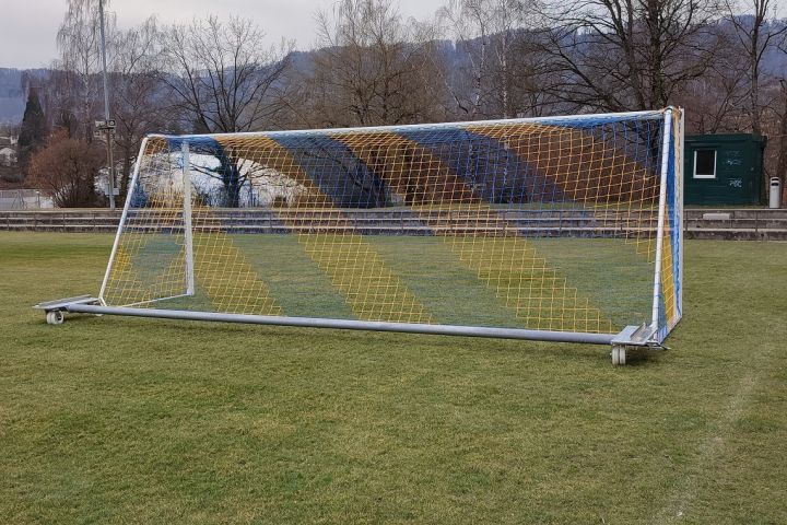 Goalkeeper D mit Doppelbereifung für Naturrasenplätze